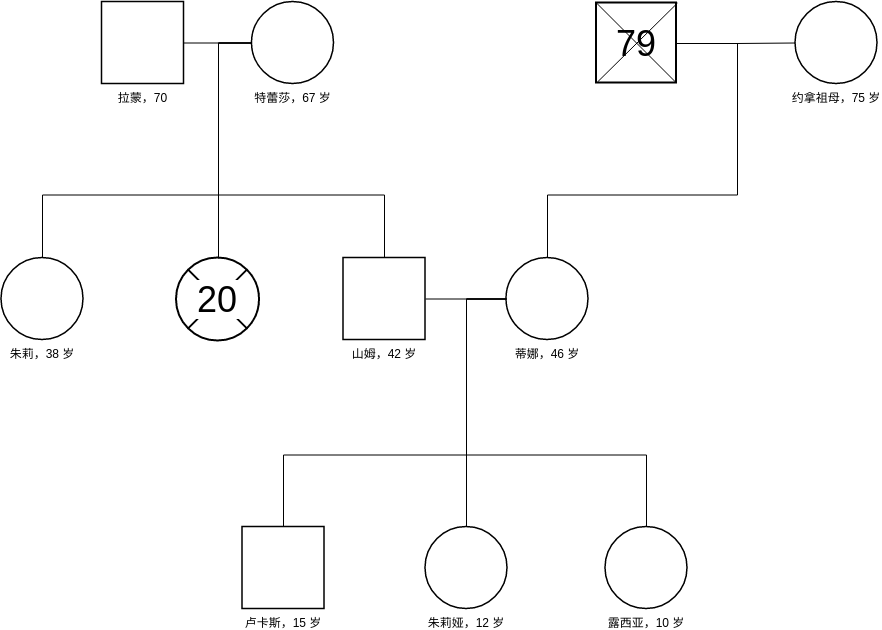 简单的家庭基因图 (Genogram Example)