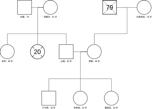 家系图 模板。简单的家庭基因图 (由 Visual Paradigm Online 的家系图软件制作)