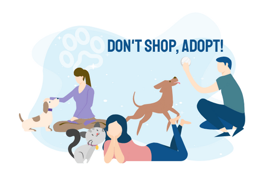 Relationship Illustration template: Don't Shop, Adopt Illustration (Created by Visual Paradigm Online's Relationship Illustration maker)