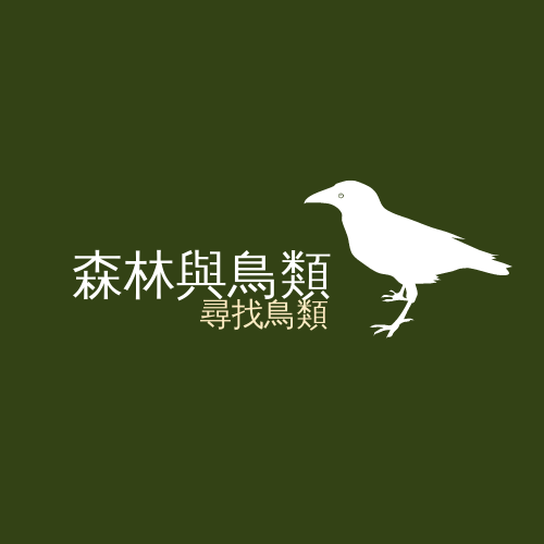 Logo 模板。 森林和鳥類徽標 (由 Visual Paradigm Online 的Logo軟件製作)