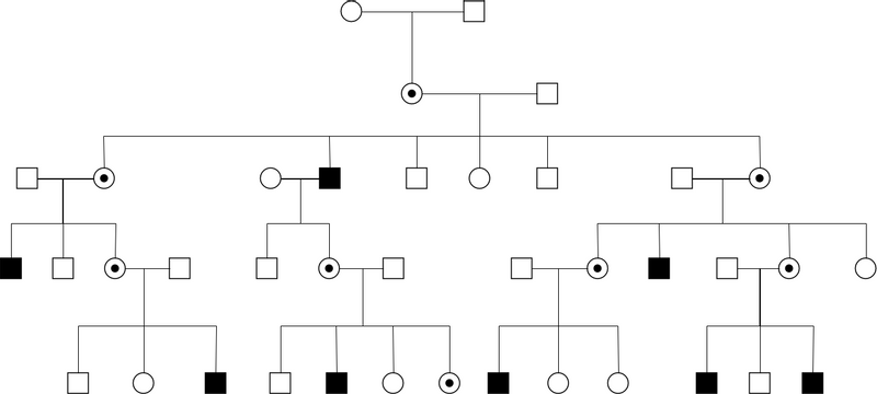 Pedigree Chart template: Linked Recessive Pedigree Chart (Created by InfoART's Pedigree Chart marker)