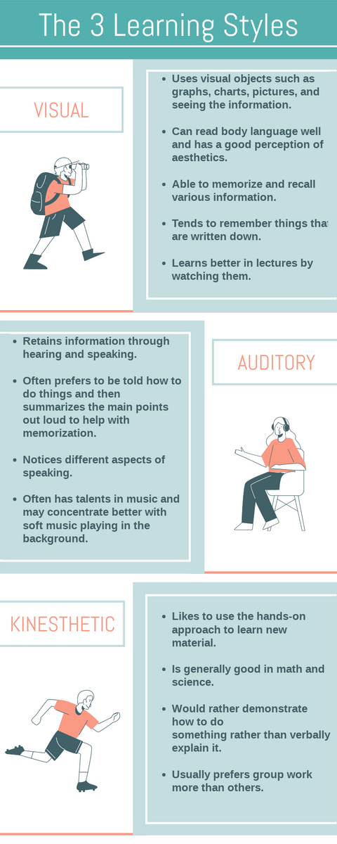 The 3 Learning Styles Infographic