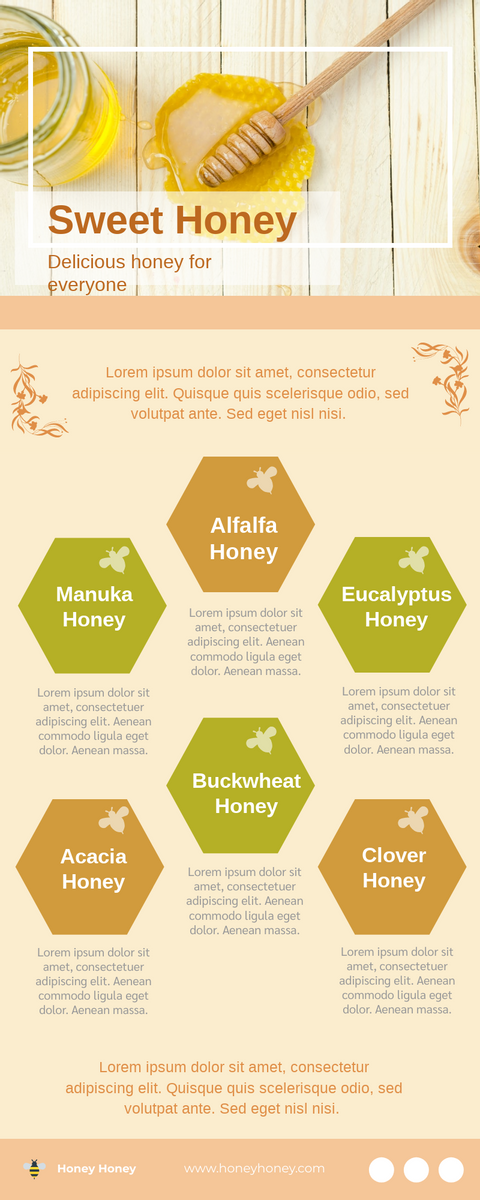 Infographic template: Introduction Of Honey Infographic (Created by Visual Paradigm Online's Infographic maker)