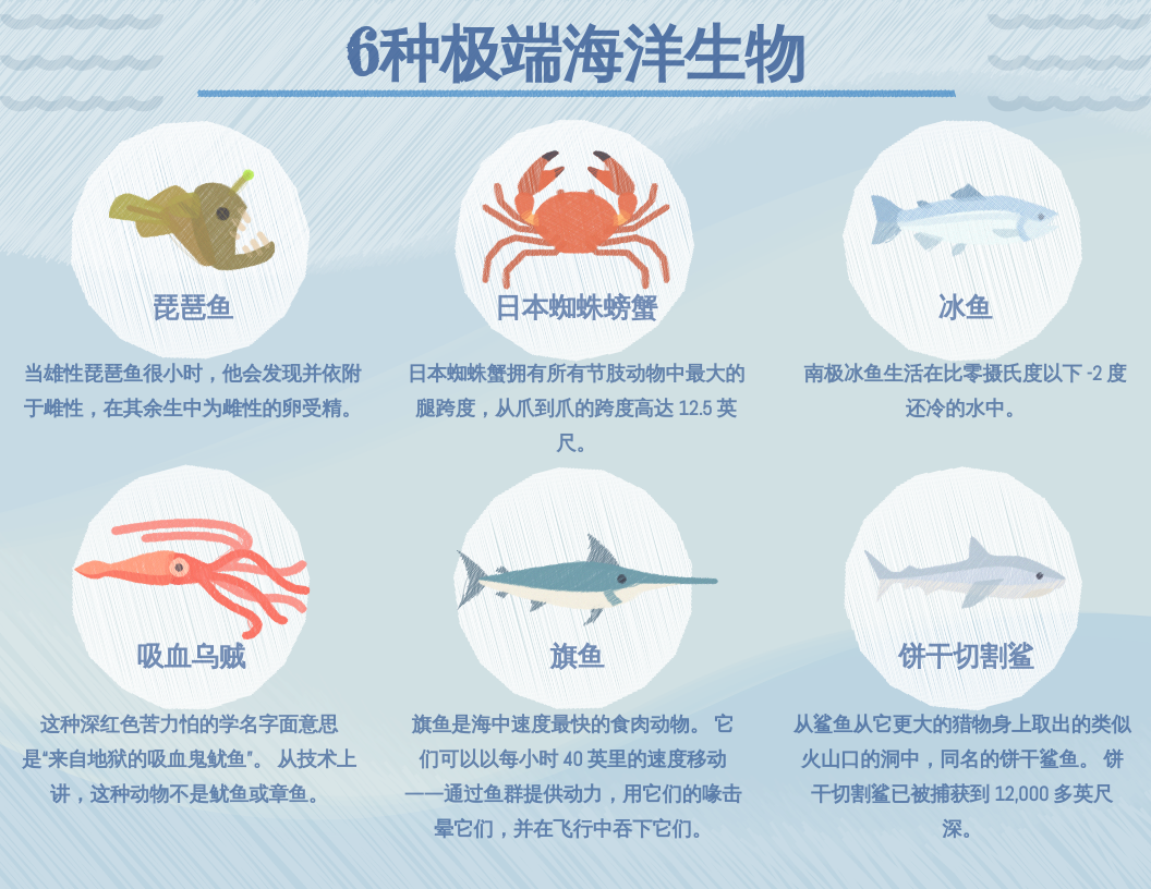 6种极端海洋生物信息图