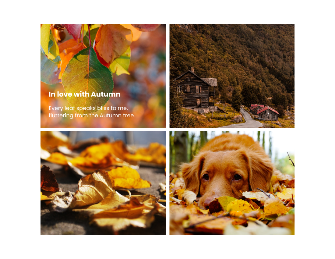 季节性照相簿 模板。Autumn Seasonal Photo Book (由 Visual Paradigm Online 的季节性照相簿软件制作)