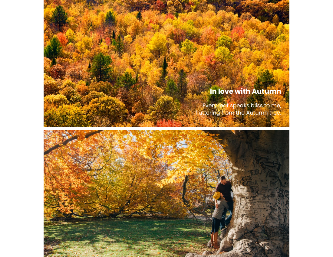季节性照相簿 模板。Autumn Seasonal Photo Book (由 Visual Paradigm Online 的季节性照相簿软件制作)