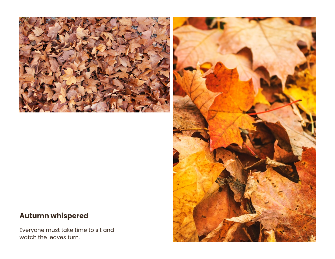 Seasonal Photo Book template: Autumn Seasonal Photo Book (Created by Visual Paradigm Online's Seasonal Photo Book maker)