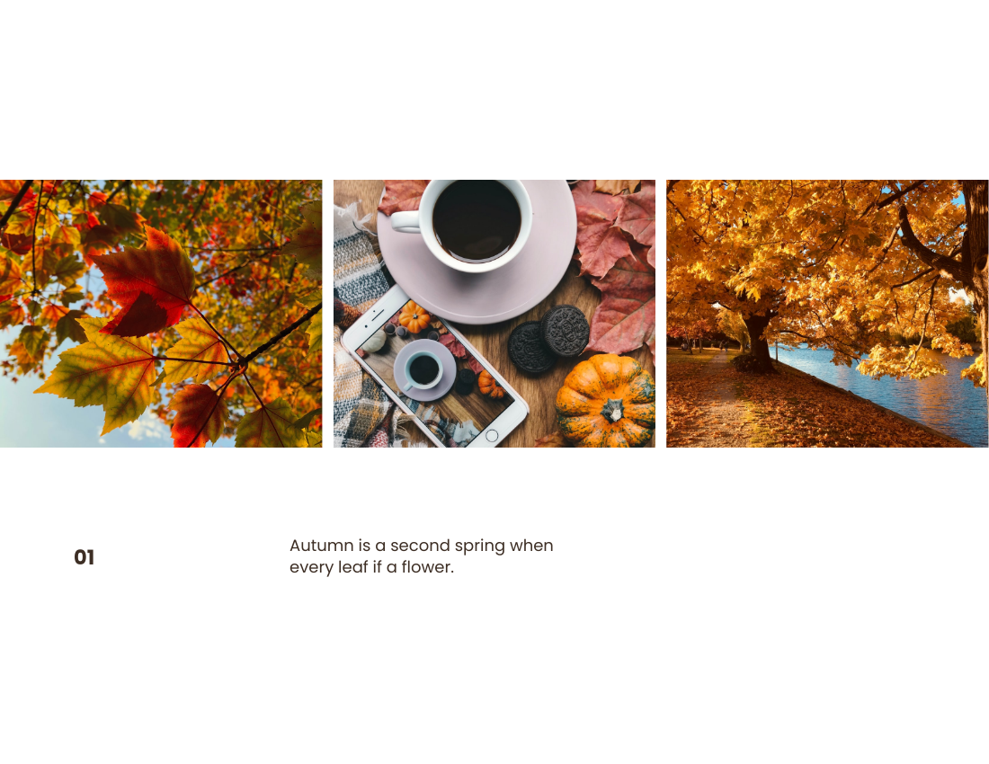 Autumn Seasonal Photo Book