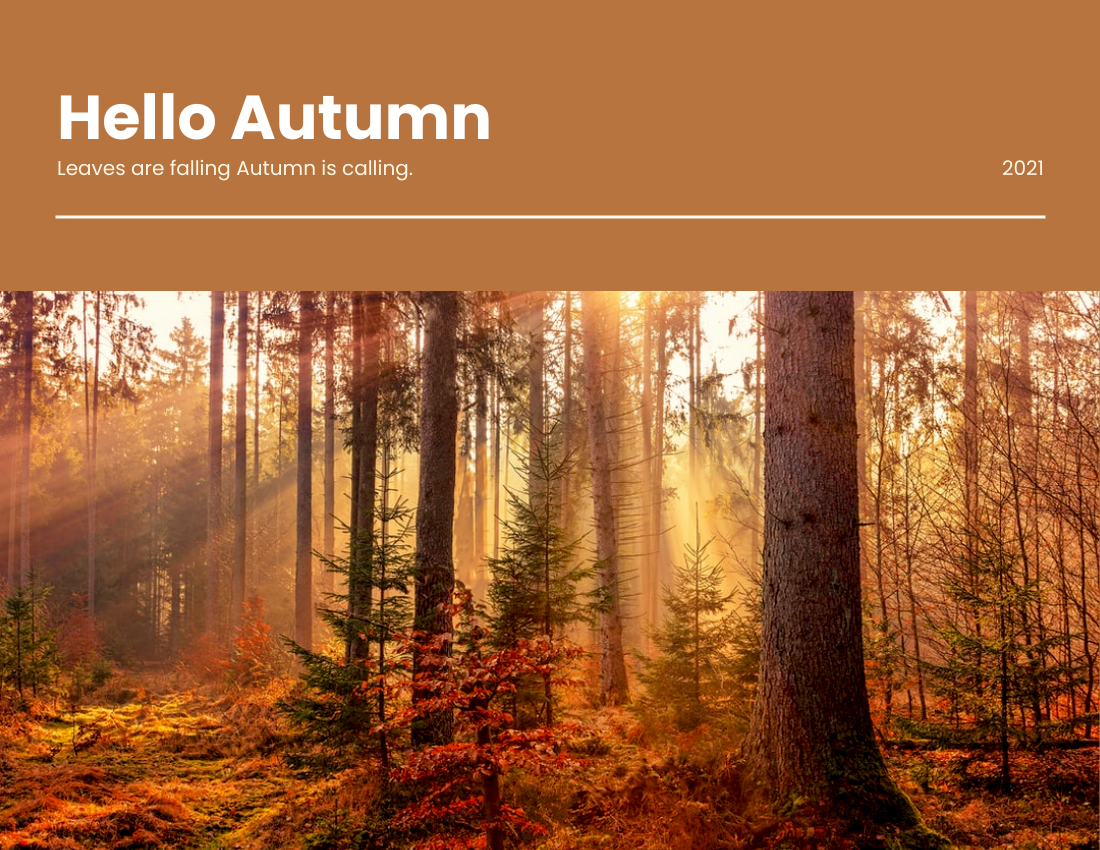 季節性照相簿 模板。 Autumn Seasonal Photo Book (由 Visual Paradigm Online 的季節性照相簿軟件製作)