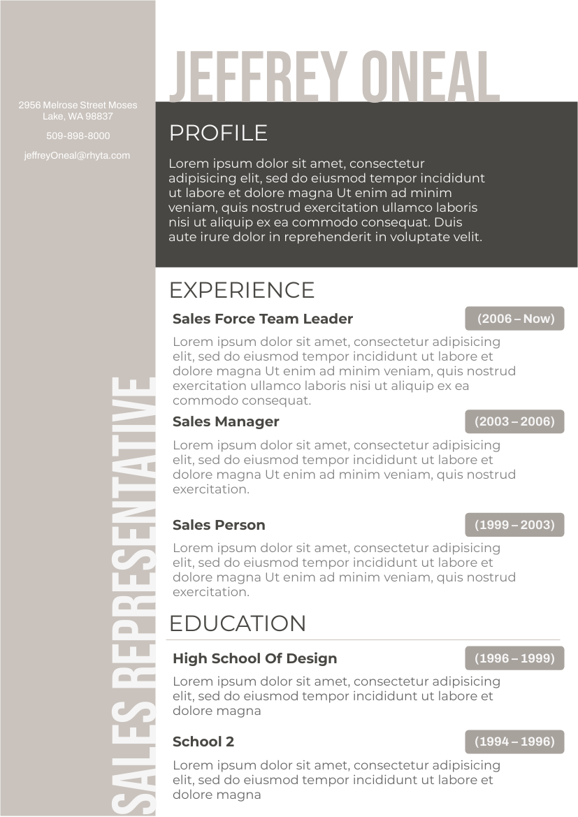 Resume template: 3 Tone Resume (Created by Visual Paradigm Online's Resume maker)