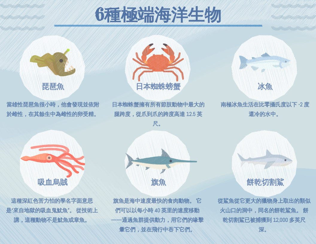 6種極端海洋生物信息圖