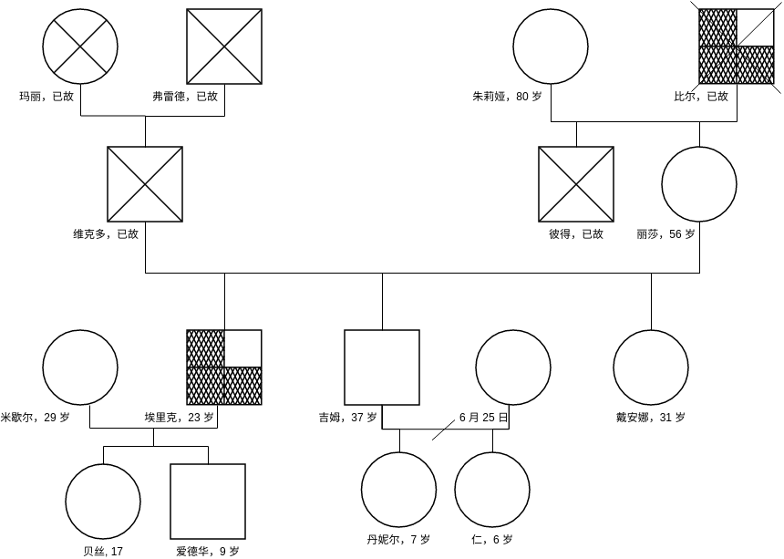 简单的基因图示例 (家系图 Example)