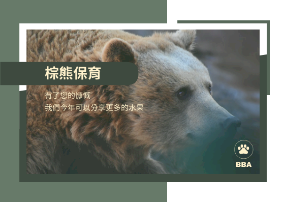 棕熊保育計劃明信片