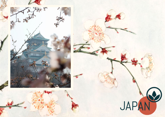 Postcard template:  Japan Cherry Blossoms Postcard (Created by InfoART's Postcard maker)