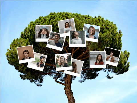 家庭树 模板。树照片家族树拼贴 (由 Visual Paradigm Online 的家庭树软件制作)