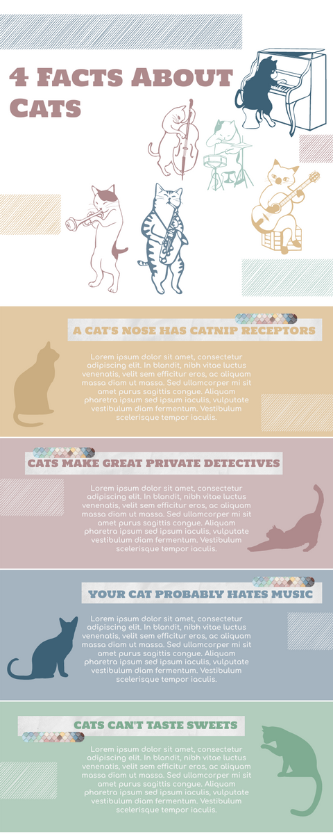 Infographic template: Cat Infographic (Created by Visual Paradigm Online's Infographic maker)