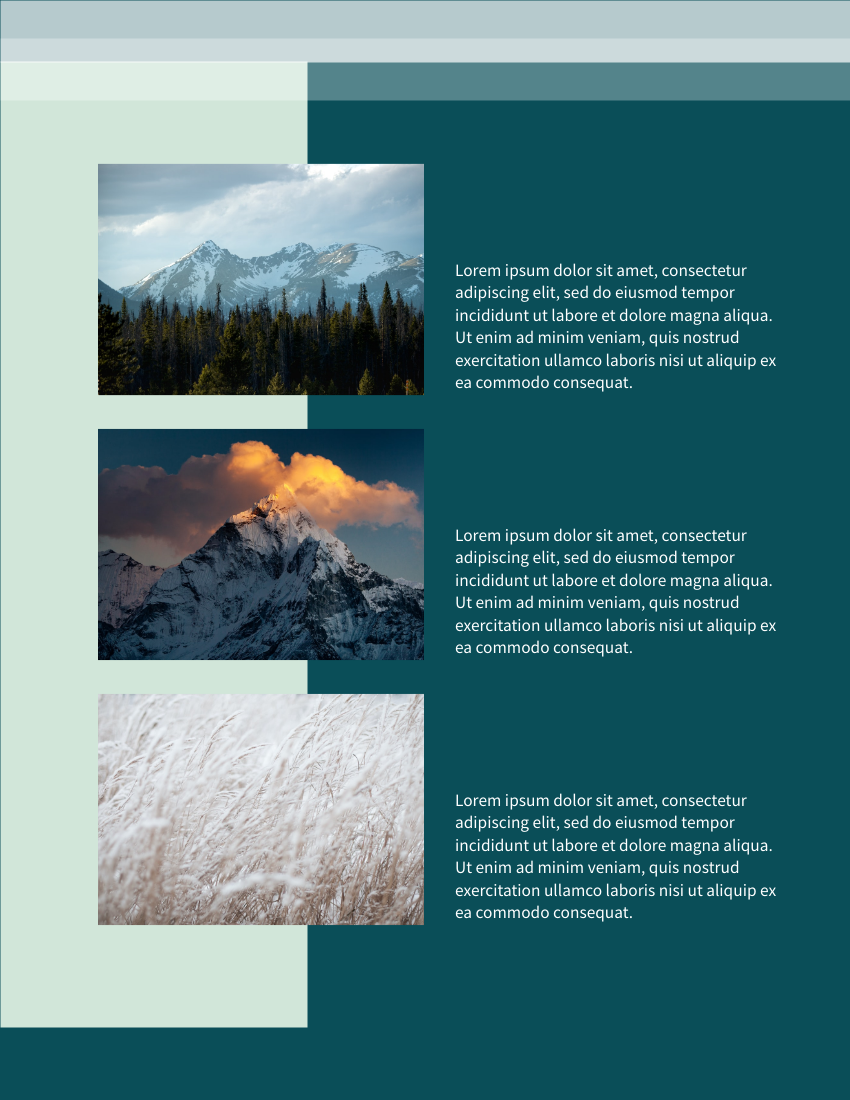 Booklet template: Nature Explorer Booklet (Created by Visual Paradigm Online's Booklet maker)