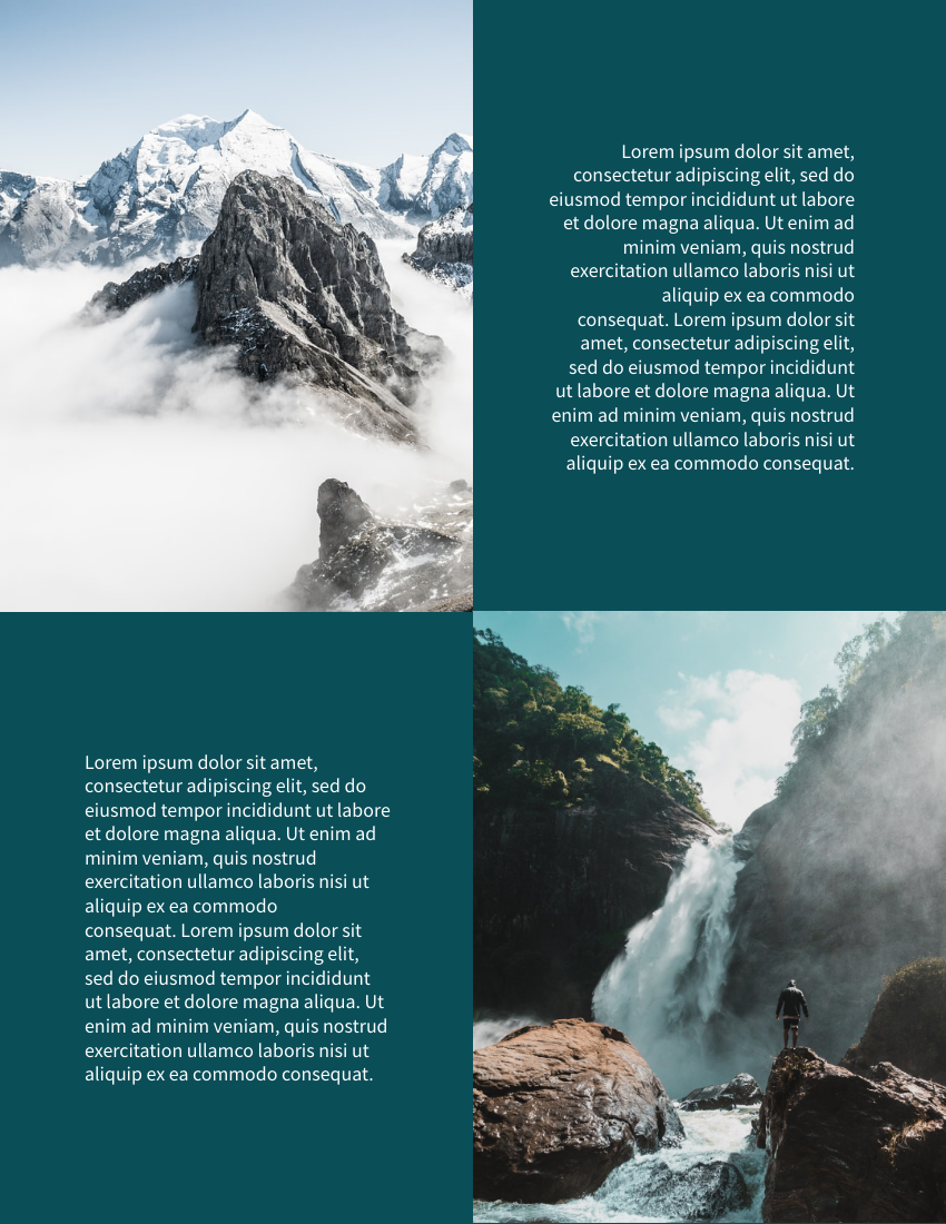 小册子 模板。Nature Explorer Booklet (由 Visual Paradigm Online 的小册子软件制作)