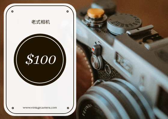 礼物卡 模板。棕色复古相机销售礼品卡 (由 Visual Paradigm Online 的礼物卡软件制作)