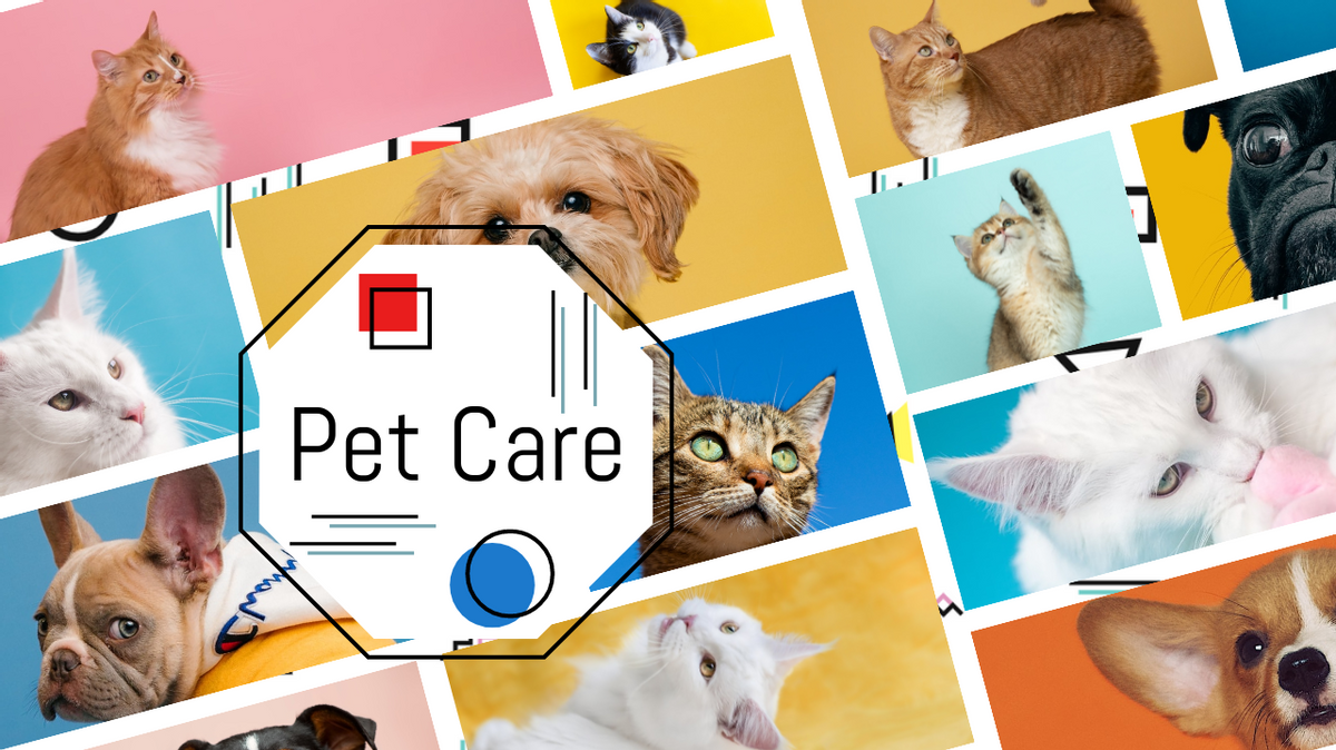 YouTube 缩图 模板。Colorful Pet Care YouTube Thumbnail (由 Visual Paradigm Online 的YouTube 缩图软件制作)