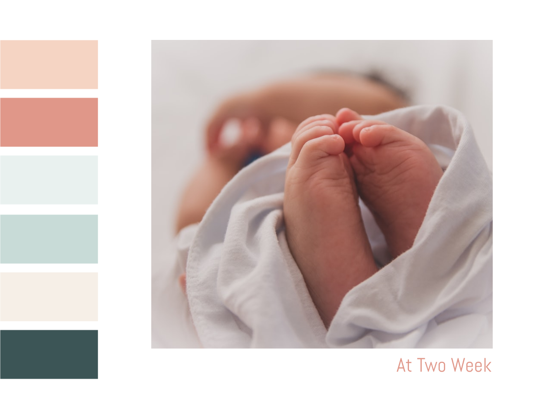 婴儿照相簿 模板。Colorful Welcome Baby Photo Book (由 Visual Paradigm Online 的婴儿照相簿软件制作)