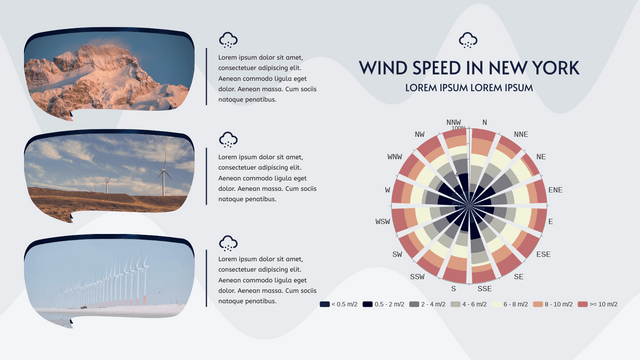 Wind Speed In New York 100% Stacked Rose Chart