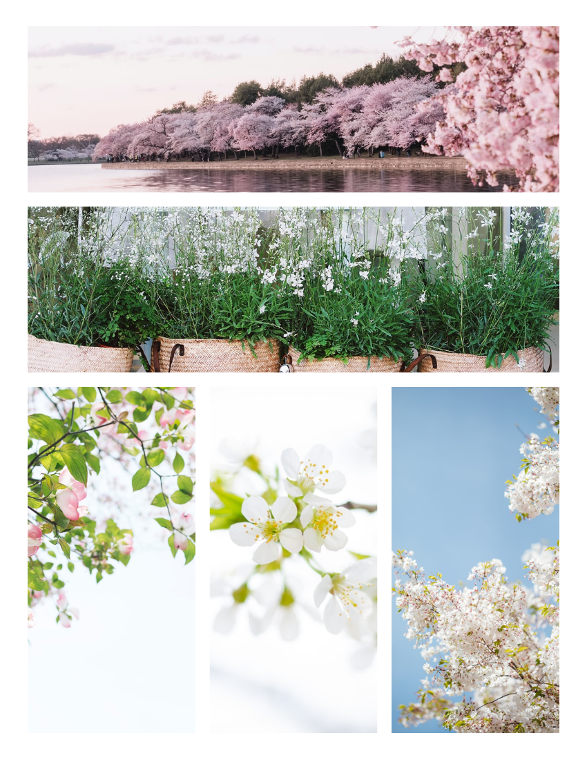 Seasonal Photo Book template: Spring Memories Seasonal Photo Book (Created by PhotoBook's Seasonal Photo Book maker)