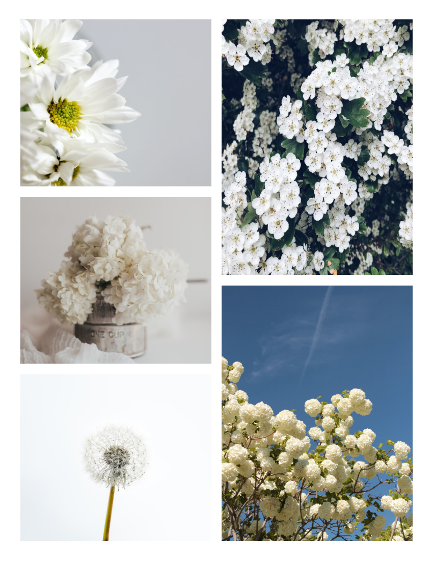 Spring Memories Seasonal Photo Book