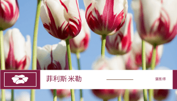 名片 模板。粉色花卉照片背景摄影师名片 (由 Visual Paradigm Online 的名片软件制作)