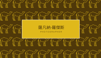 名片 模板。 黃金埃及駱駝圖案插圖名片 (由 Visual Paradigm Online 的名片軟件製作)