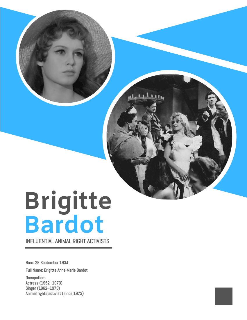 Biography template: Brigitte Bardot Biography (Created by Visual Paradigm Online's Biography maker)