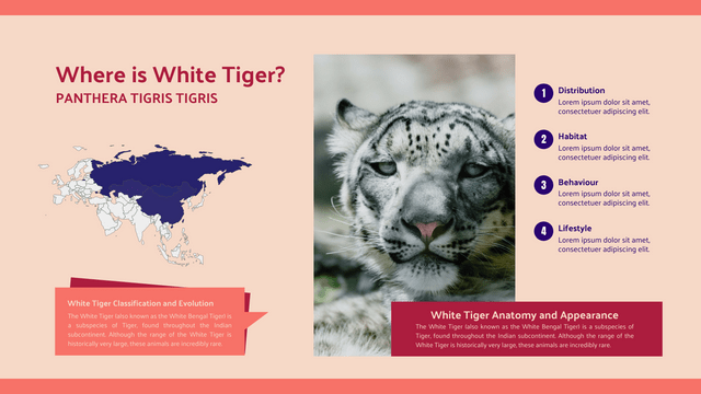 Geo Maps template: White Tiger Extinction Geo Map (Created by Visual Paradigm Online's Geo Maps maker)