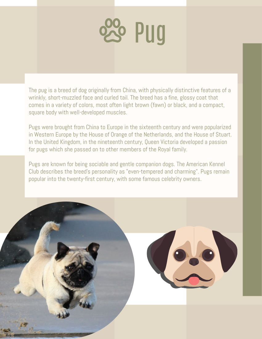 小冊子 模板。 Dog Breeds: The Quick Guide to Some Popular Dog Breeds (由 Visual Paradigm Online 的小冊子軟件製作)