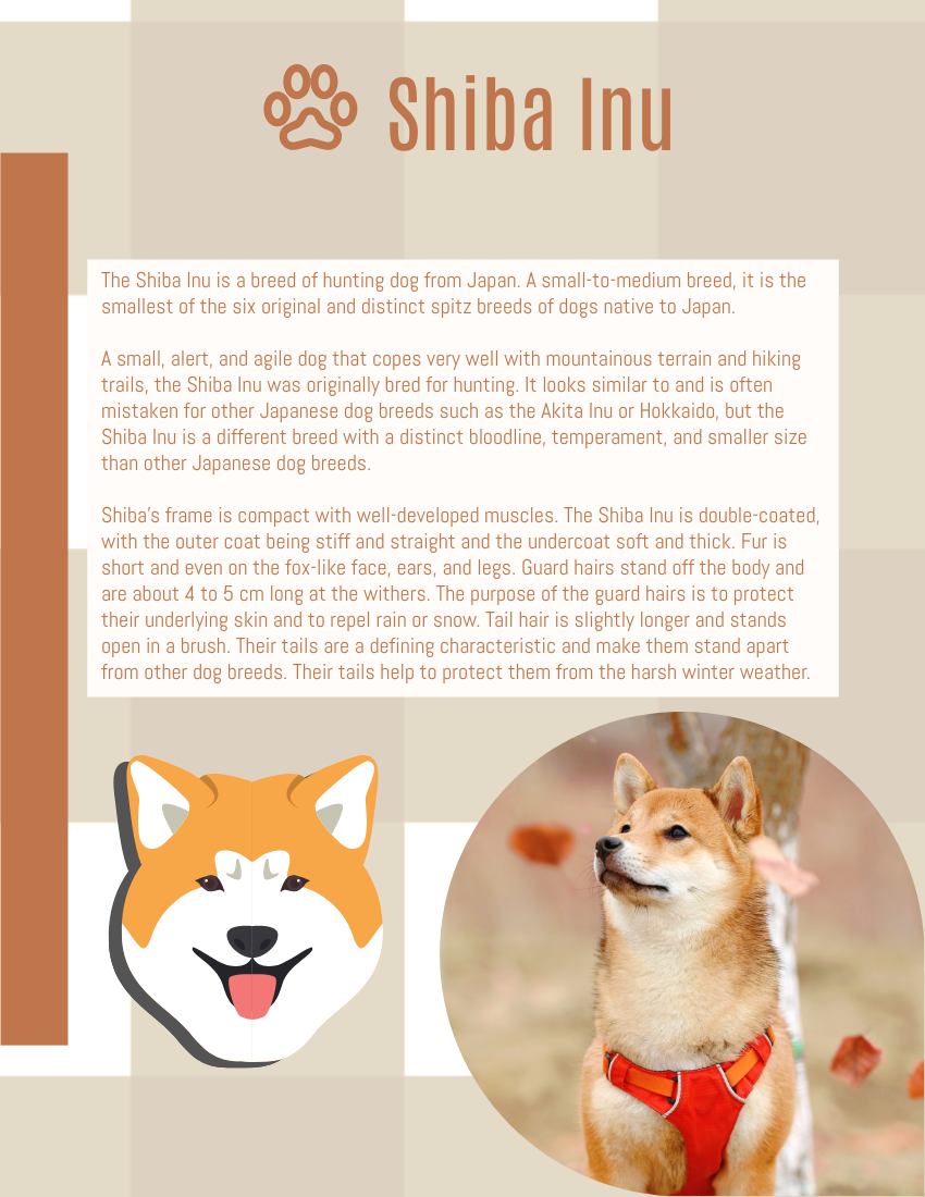 小冊子 模板。 Dog Breeds: The Quick Guide to Some Popular Dog Breeds (由 Visual Paradigm Online 的小冊子軟件製作)