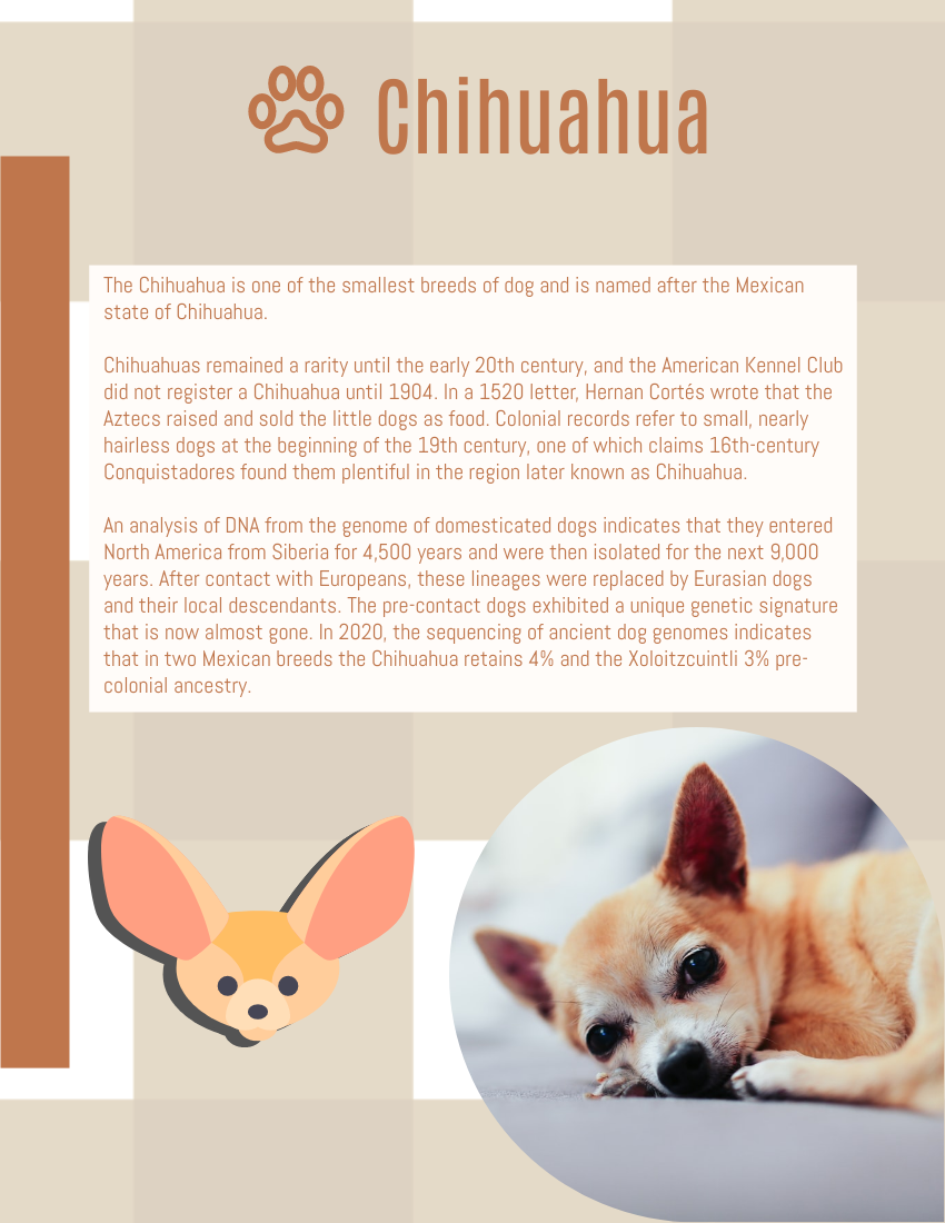 Booklet template: Dog Breeds: The Quick Guide to Some Popular Dog Breeds (Created by Visual Paradigm Online's Booklet maker)