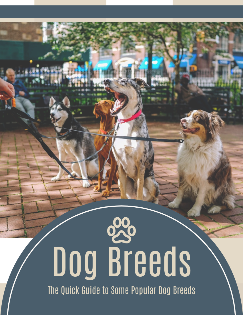 Booklet template: Dog Breeds: The Quick Guide to Some Popular Dog Breeds (Created by Visual Paradigm Online's Booklet maker)