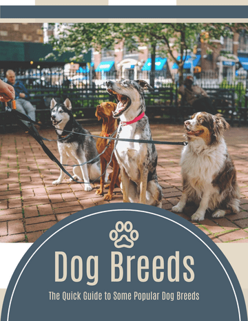  模板。Dog Breeds: The Quick Guide to Some Popular Dog Breeds (由 Visual Paradigm Online 的软件制作)