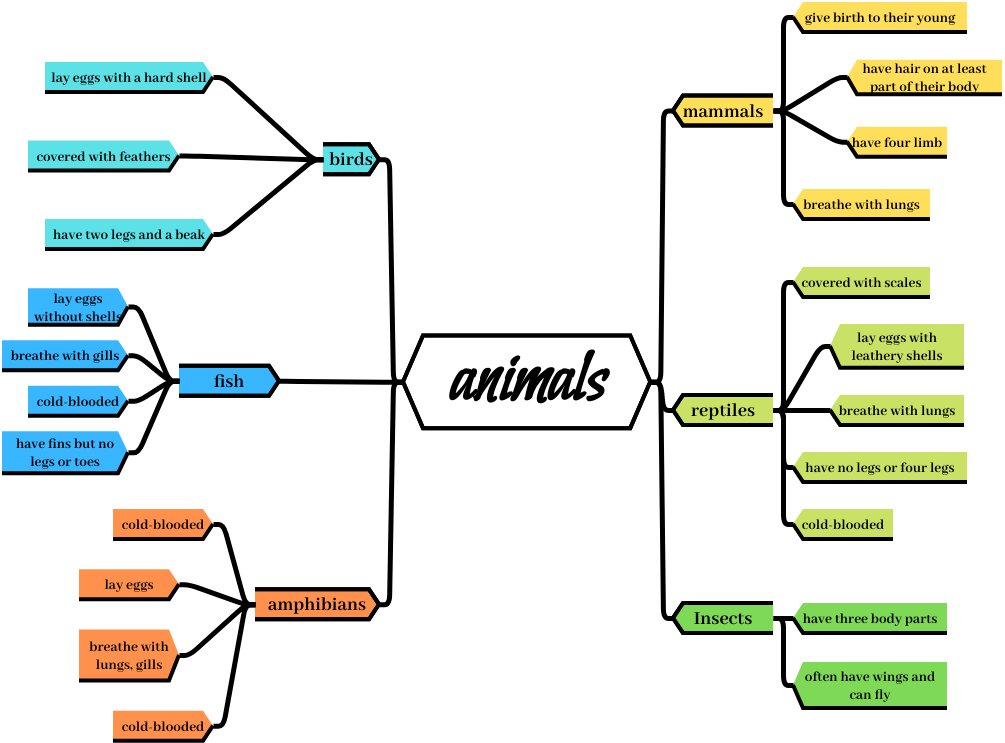 Mind Map For Animals (diagrams.templates.qualified-name.mind-map-diagram Example)