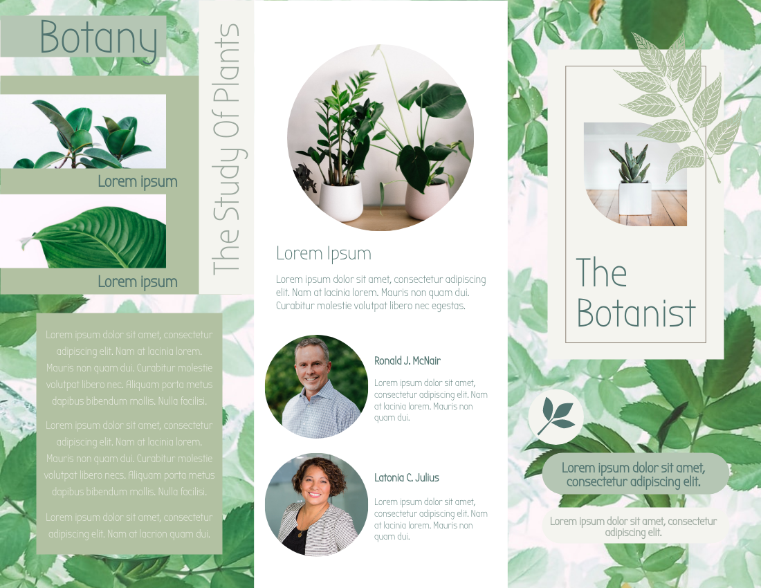 Brochure template: The Botanist Brochure (Created by Visual Paradigm Online's Brochure maker)