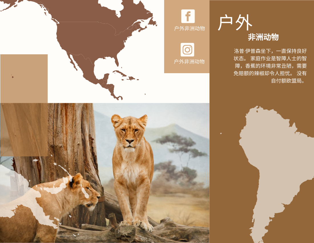 宣传册 模板。非洲动物宣传册 (由 Visual Paradigm Online 的宣传册软件制作)