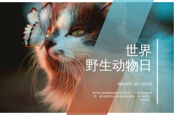 贺卡 模板。蓝猫照片世界野生动物日贺卡 (由 Visual Paradigm Online 的贺卡软件制作)