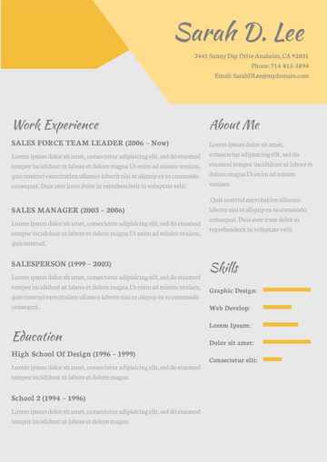 Resume template: Yellow Theme Resume (Created by Visual Paradigm Online's Resume maker)