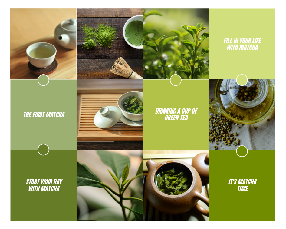 Mood Board template: Matcha Time Tea Mood Board (Created by Visual Paradigm Online's Mood Board maker)