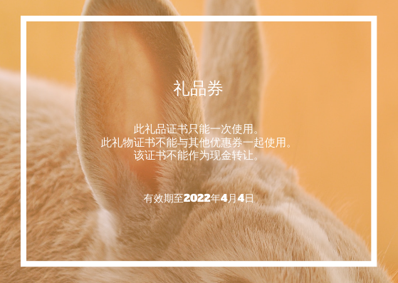 礼物卡 模板。橙色复活节兔子照片销售礼品卡 (由 Visual Paradigm Online 的礼物卡软件制作)