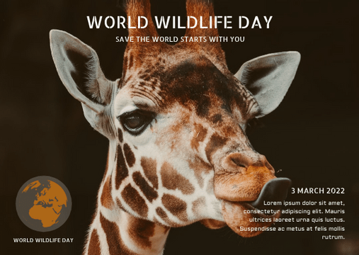 Postcard template: Brown Giraffe Photo World Wildlife Day Post Card (Created by Visual Paradigm Online's Postcard maker)