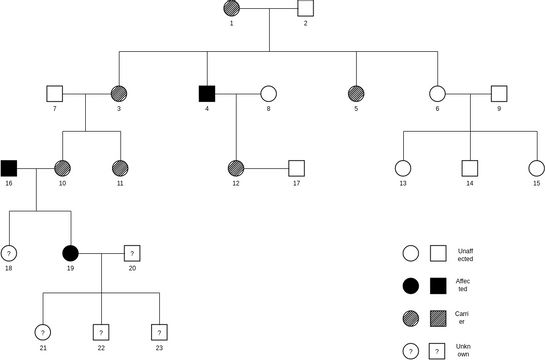 Pedigree Chart template: Pedigree Chart Sample (Created by InfoART's Pedigree Chart marker)