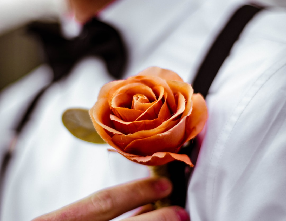 婚礼照相簿 模板。Romantic Rose Wedding Photo Book (由 Visual Paradigm Online 的婚礼照相簿软件制作)