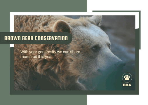 Postcards template: Black Bear Conservation Postcard (Created by Visual Paradigm Online's Postcards maker)