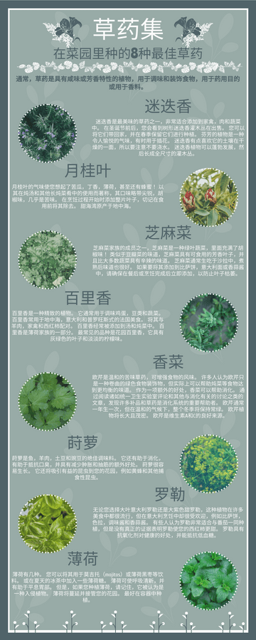 Editable infographics template:百草集信息图