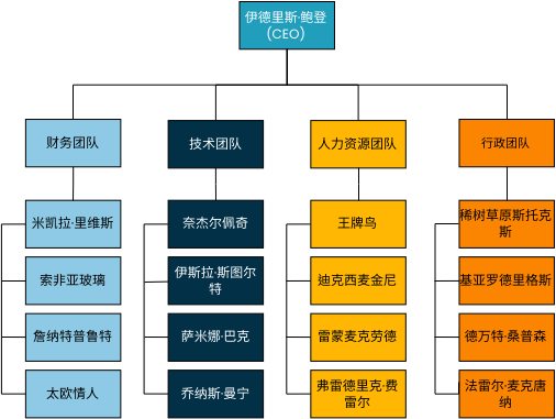 组织结构图 模板。公司团队组织结构图 (由 Visual Paradigm Online 的组织结构图软件制作)